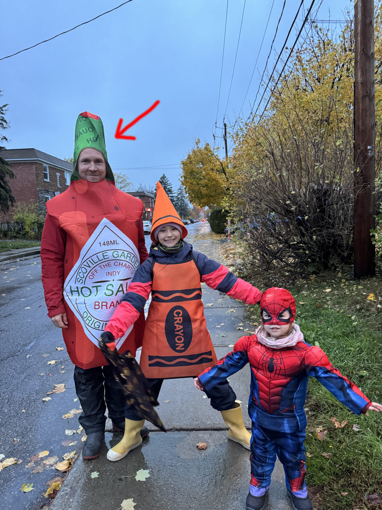 Shany Belanger développeur web Craft CMS